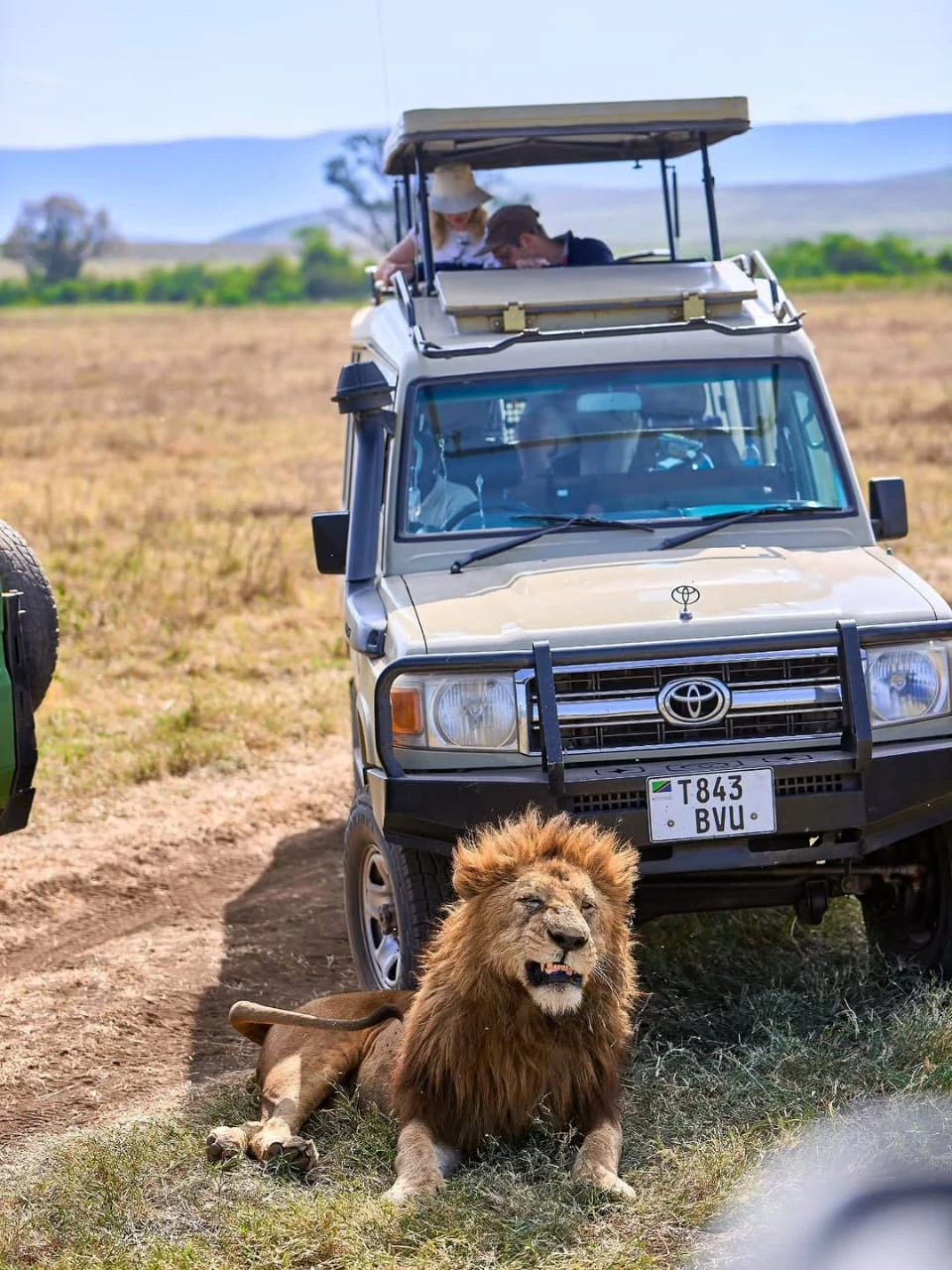 Tanzania Safari