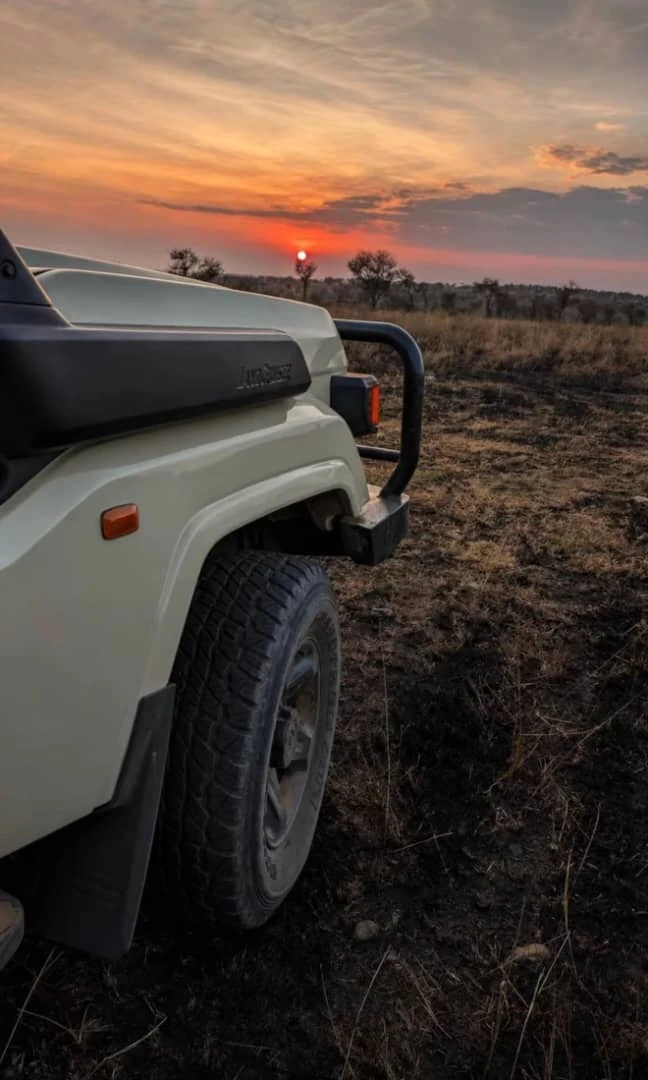 Tanzania Safari