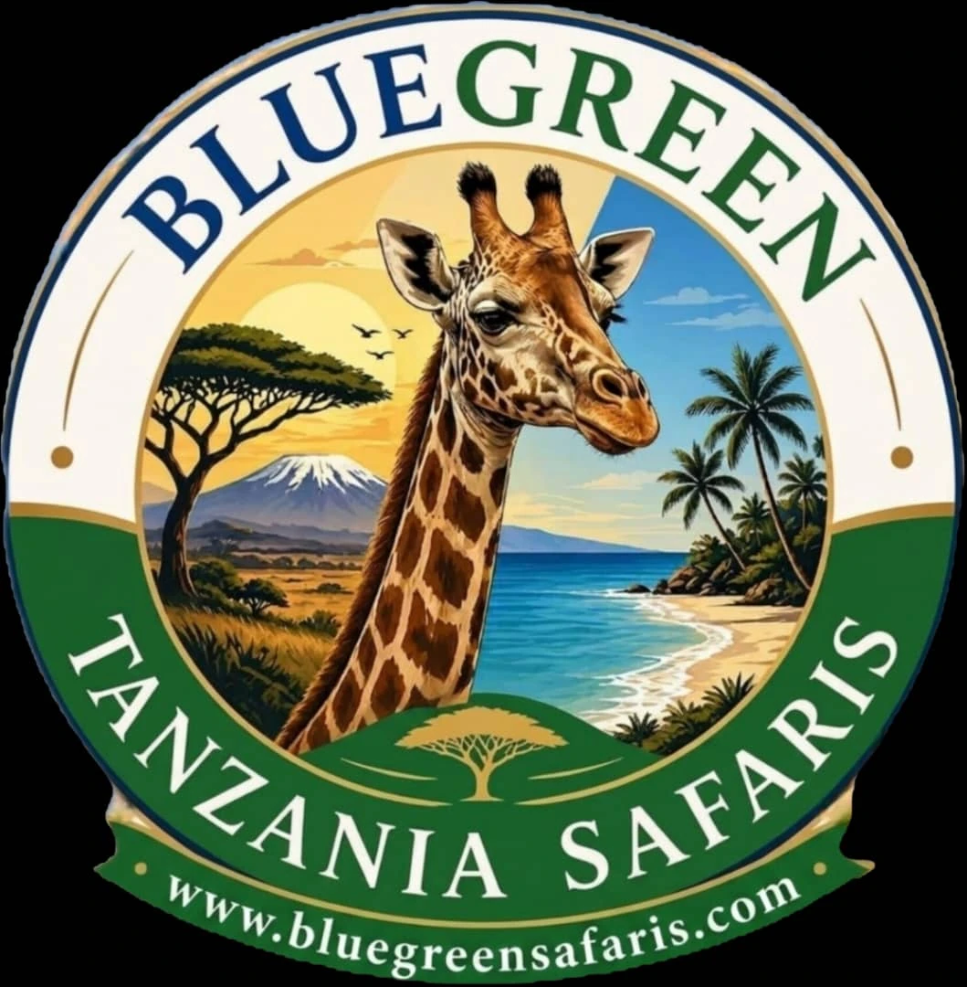 Tanzania Safari