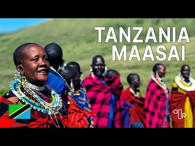 Tanzania Safari