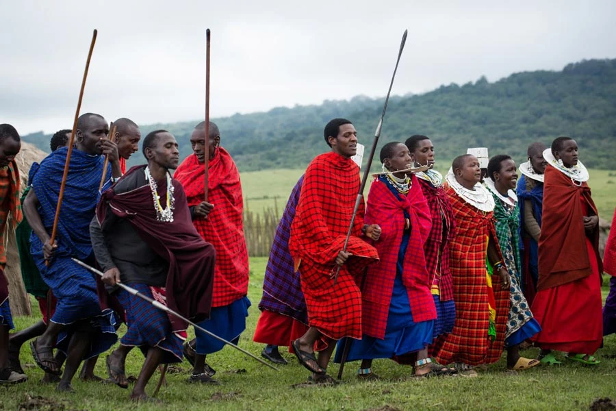 Tanzania Safari