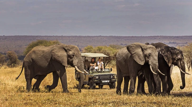 Tarangire