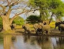 9 Days Safari