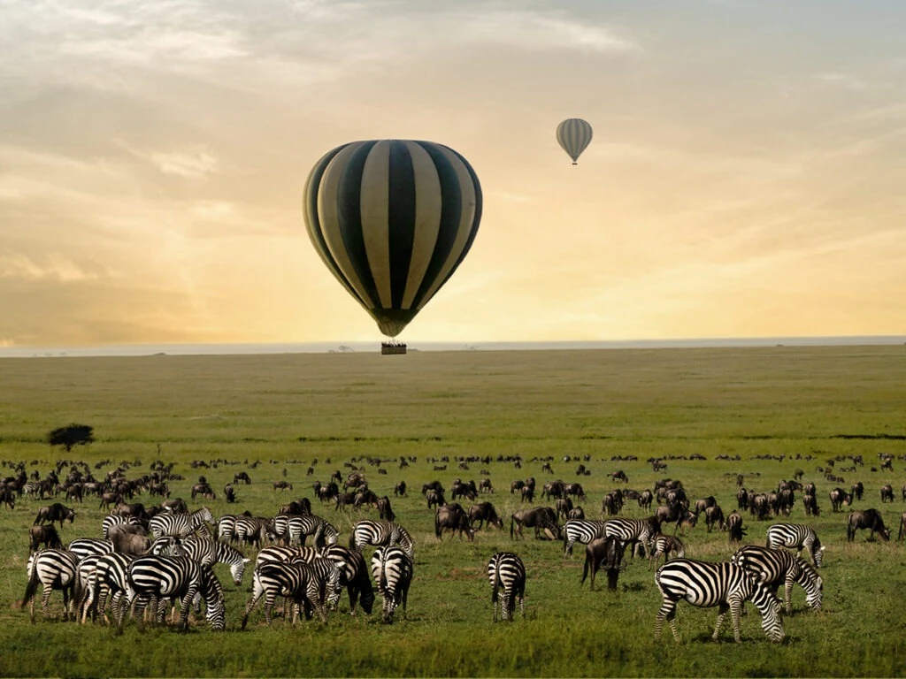 Tanzania Safari